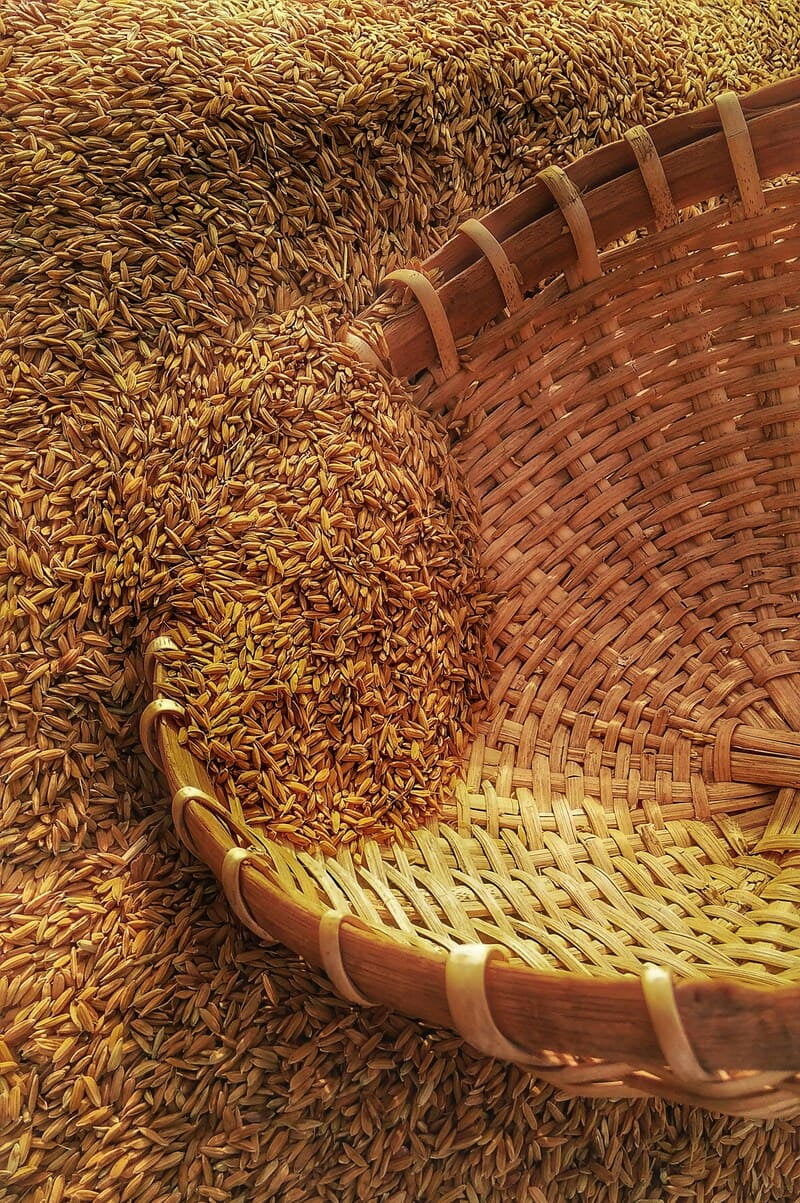 Agriculture